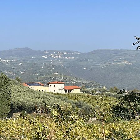 Suite La Torretta - Ca' Del Volo Grezzana Zewnętrze zdjęcie