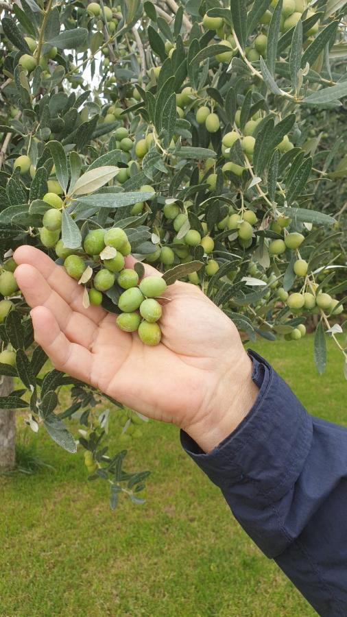 Suite La Torretta - Ca' Del Volo Grezzana Zewnętrze zdjęcie